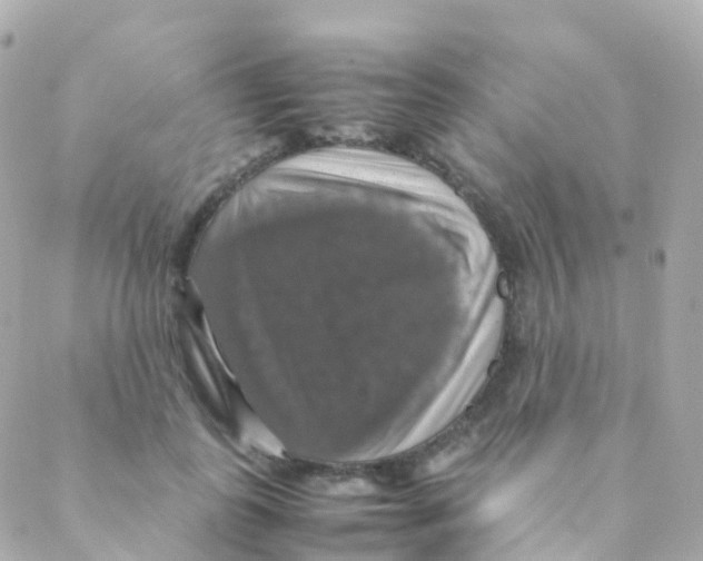 X0000088230747200706051347