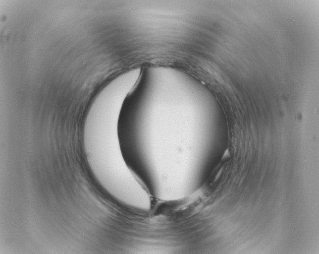 X0000088230748200706051347