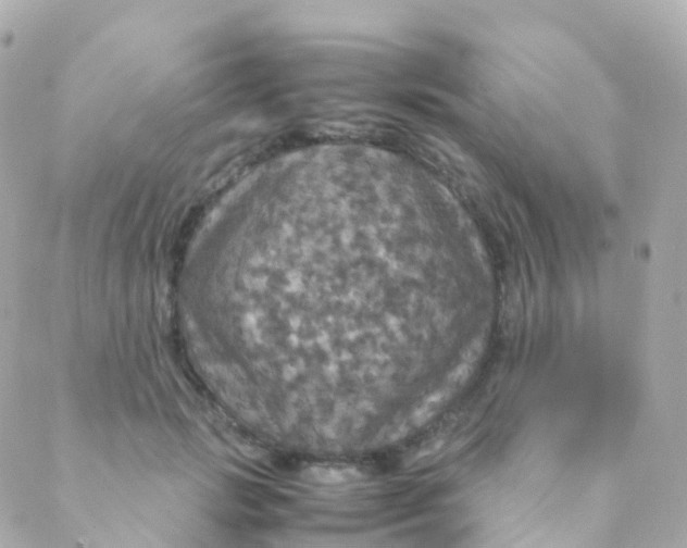 X0000088230749200706051347