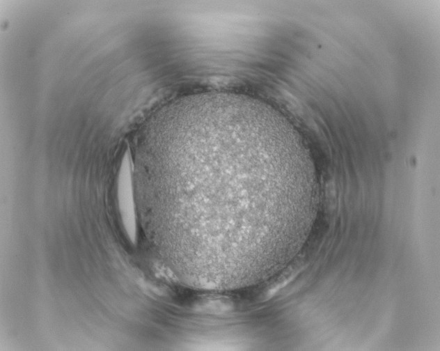 X0000088230750200706051347