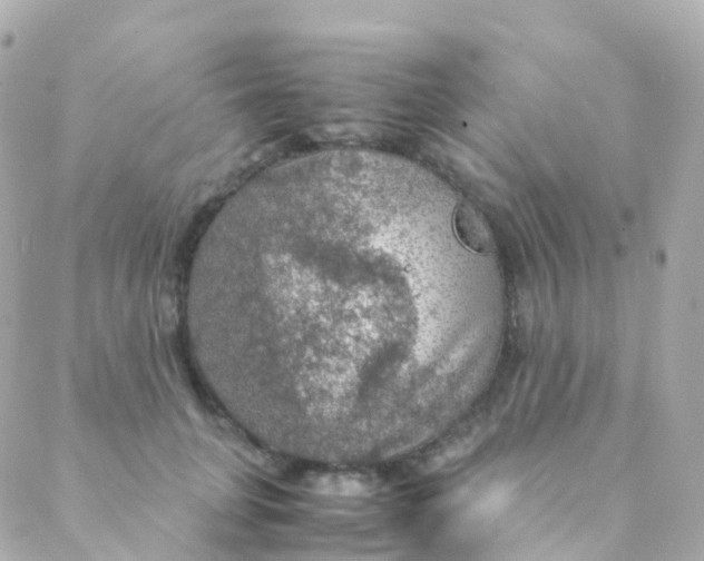 X0000088230751200706051347