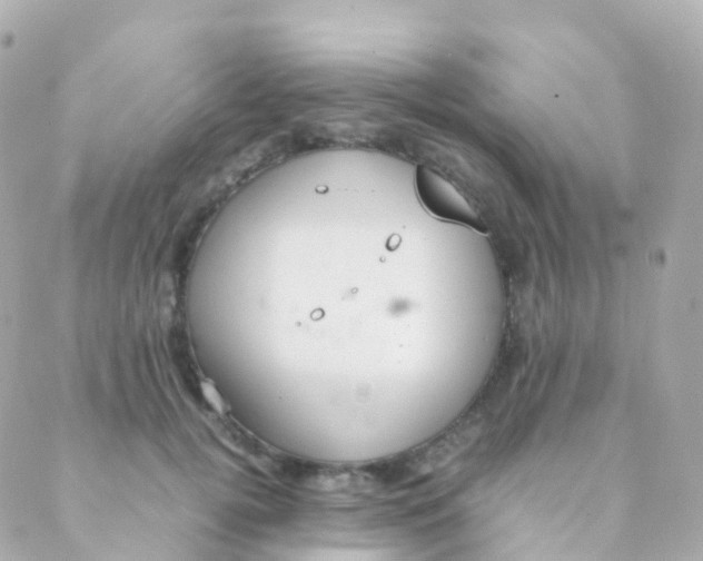 X0000088230752200706051347