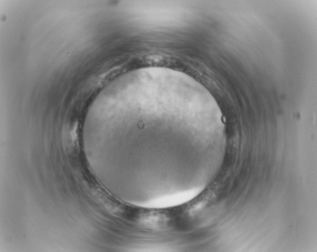 X0000088230754200706051347