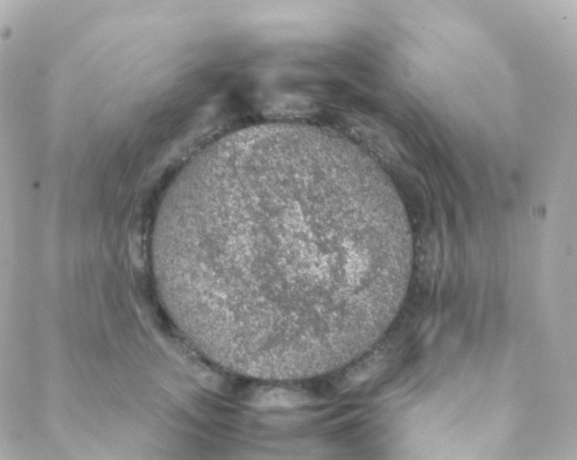 X0000088230755200706051347