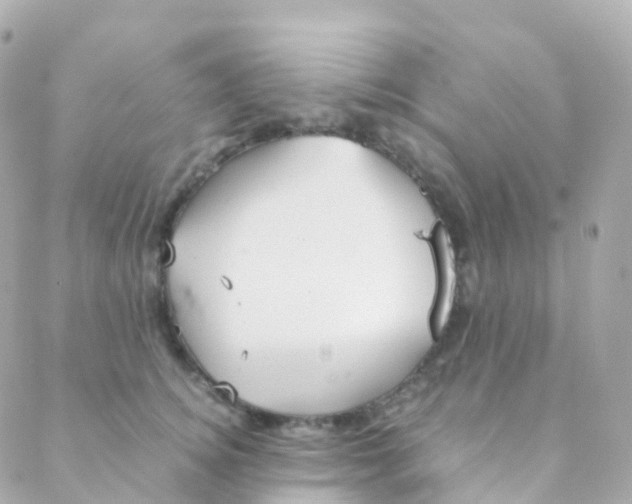 X0000088230756200706051347