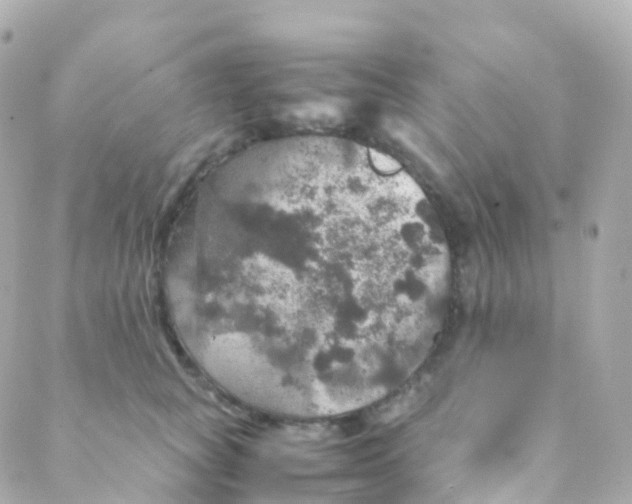 X0000088230757200706051347