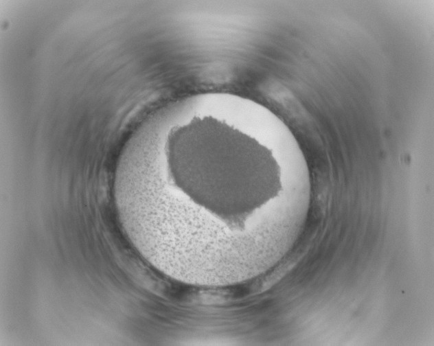 X0000088230758200706051347