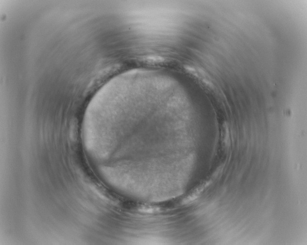 X0000088230760200706051347