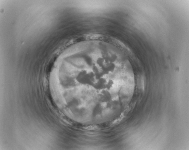 X0000088230761200706051347