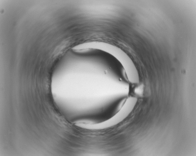 X0000088230762200706051347