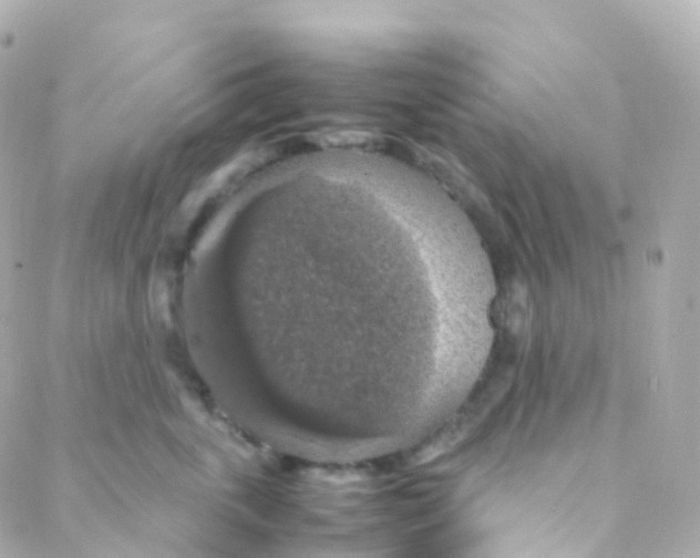 X0000088230763200706051347