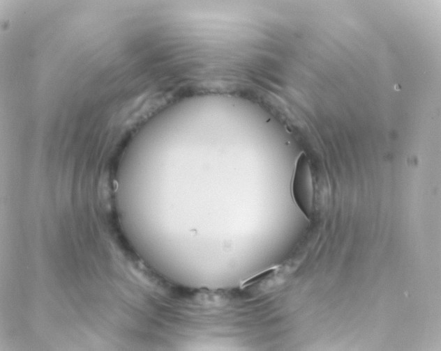 X0000088230764200706051347