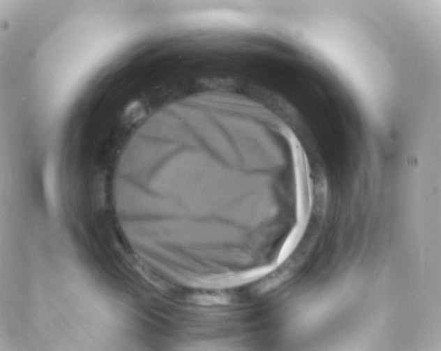 X0000088230765200706051347