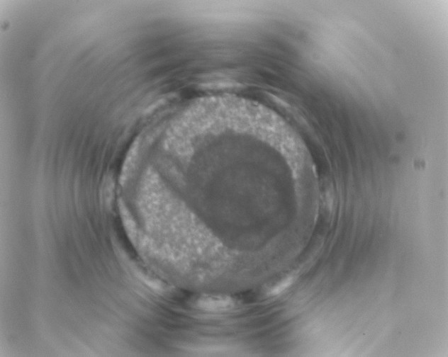 X0000088230767200706051347