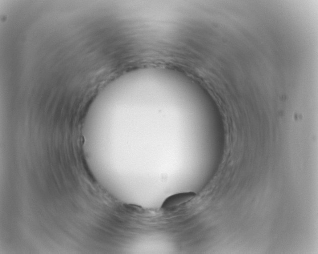 X0000088230768200706051347