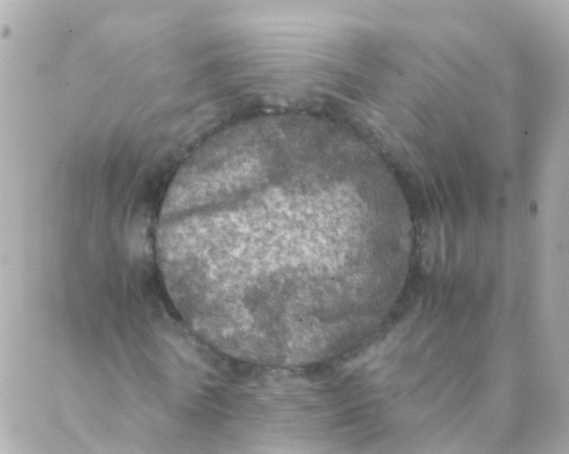 X0000088230770200706051347