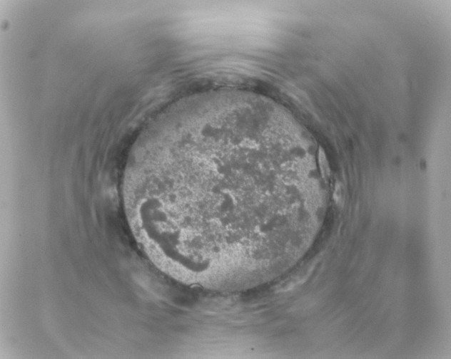 X0000088230771200706051347