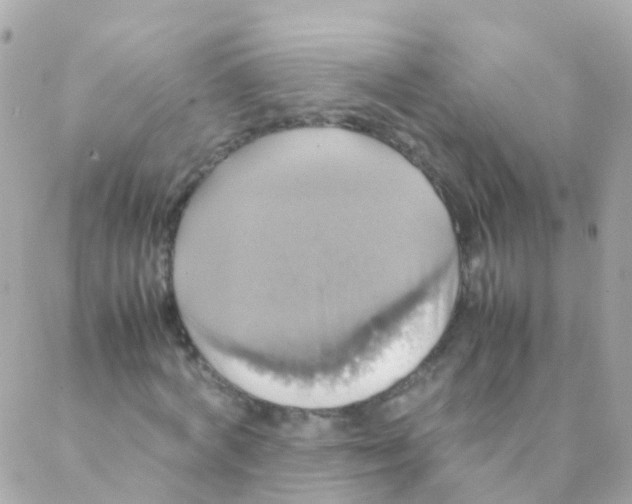 X0000088230772200706051347