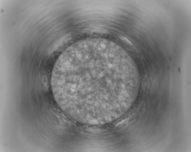 X0000088230774200706051347