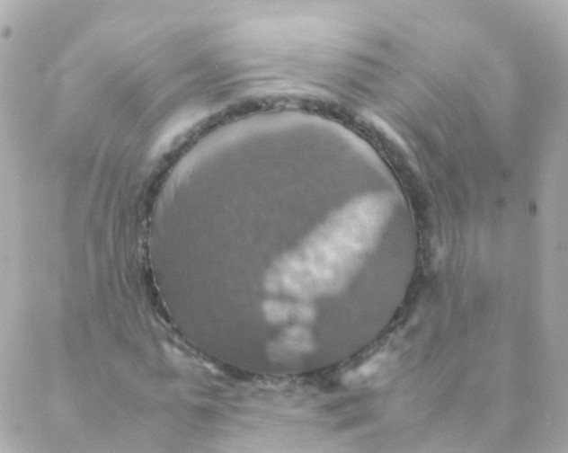 X0000088230775200706051346