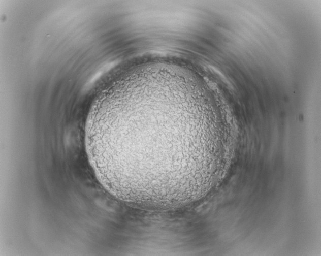 X0000088230776200706051346