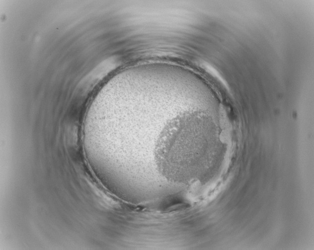 X0000088230777200706051346