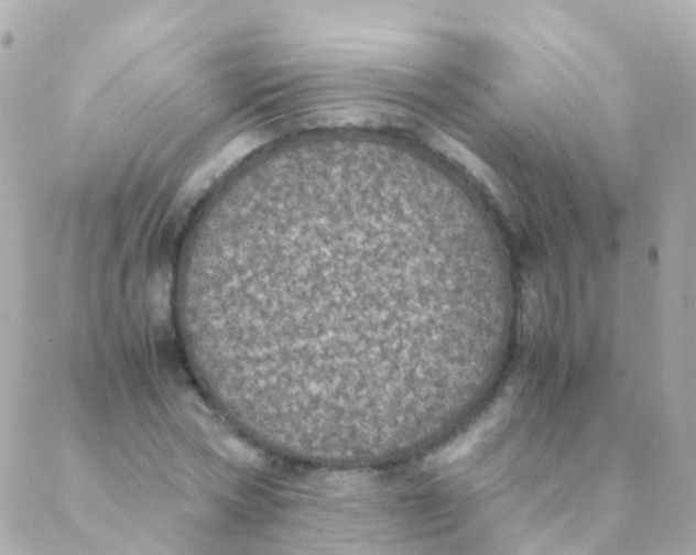 X0000088230778200706051346