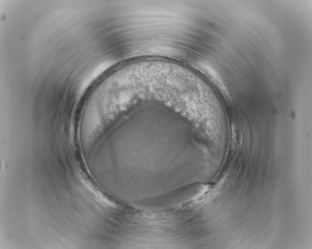 X0000088230780200706051346