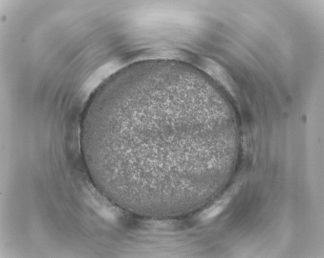 X0000088230781200706051346