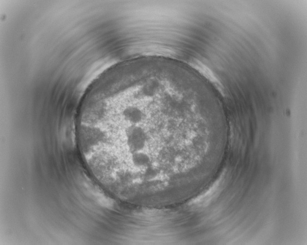 X0000088230782200706051346