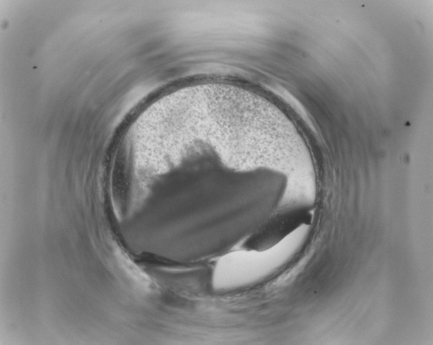 X0000088230783200706051346