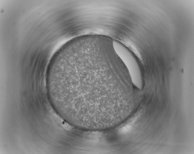 X0000088230784200706051346