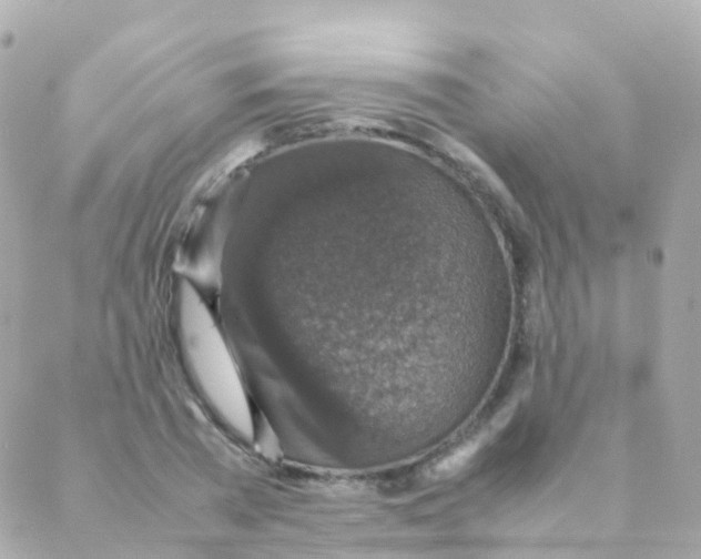 X0000088230785200706051346