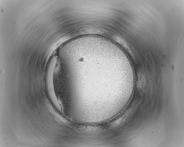 X0000088230786200706051346