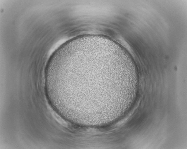 X0000088230787200706051346