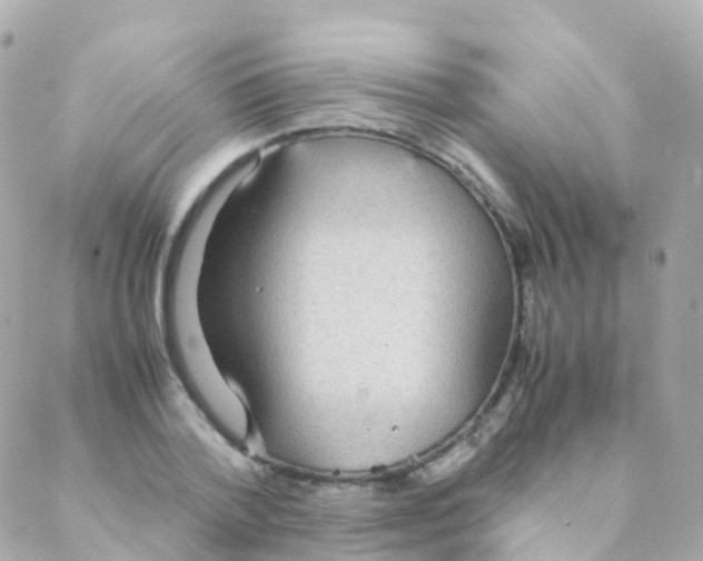 X0000088230788200706051346