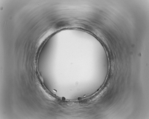 X0000088230789200706051346