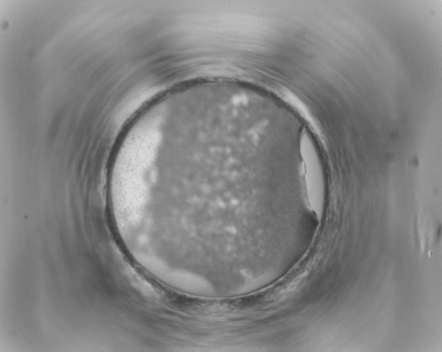 X0000088230791200706051346