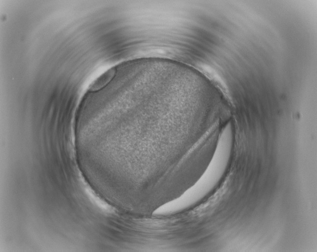 X0000088230792200706051346