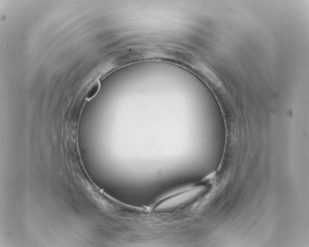 X0000088230793200706051346