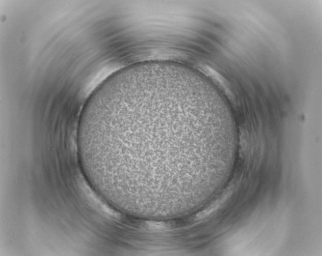 X0000088230794200706051346