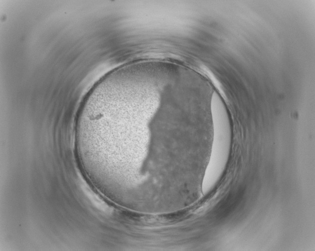 X0000088230795200706051346