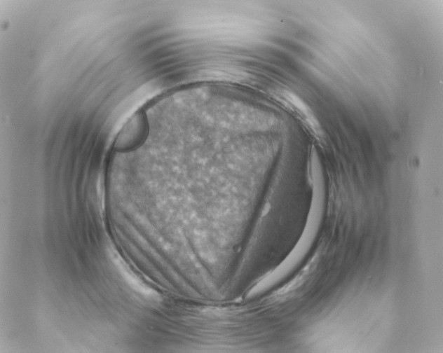 X0000088230796200706051346