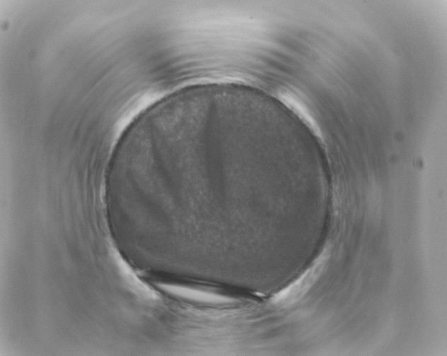 X0000088230797200706051346