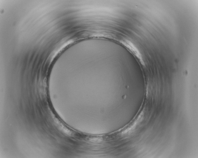 X0000088230798200706051346