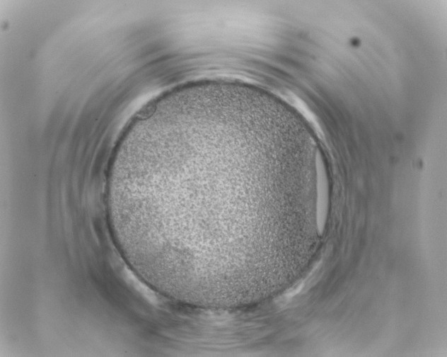 X0000088230799200706051346