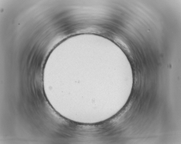 X0000088230800200706051346