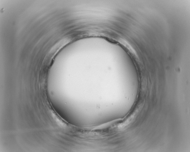 X0000088230801200706051346