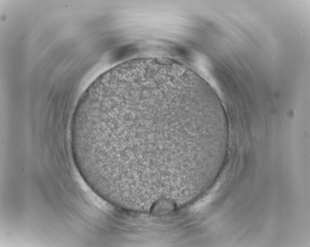 X0000088230803200706051346