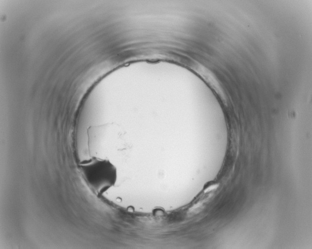 X0000088230805200706051346